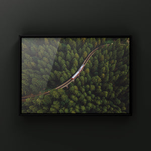 The little red train (лето)